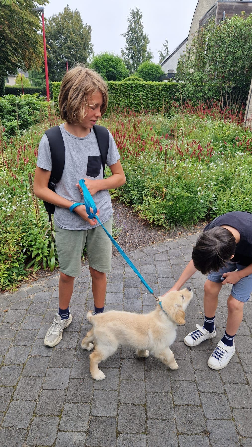 Twee jongens maken kennis met een golden retriever-pup aan de lijn op een tuinpad